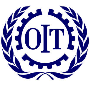 BECAS DE LA ORGANIZACIÓN INTERNACIONAL DEL TRABAJO (OIT)