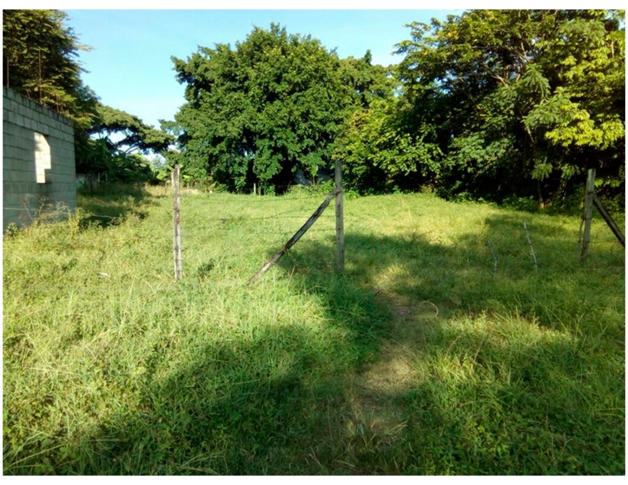 Vendo Terreno de 3,143 Mts2 en El Estor Izabal