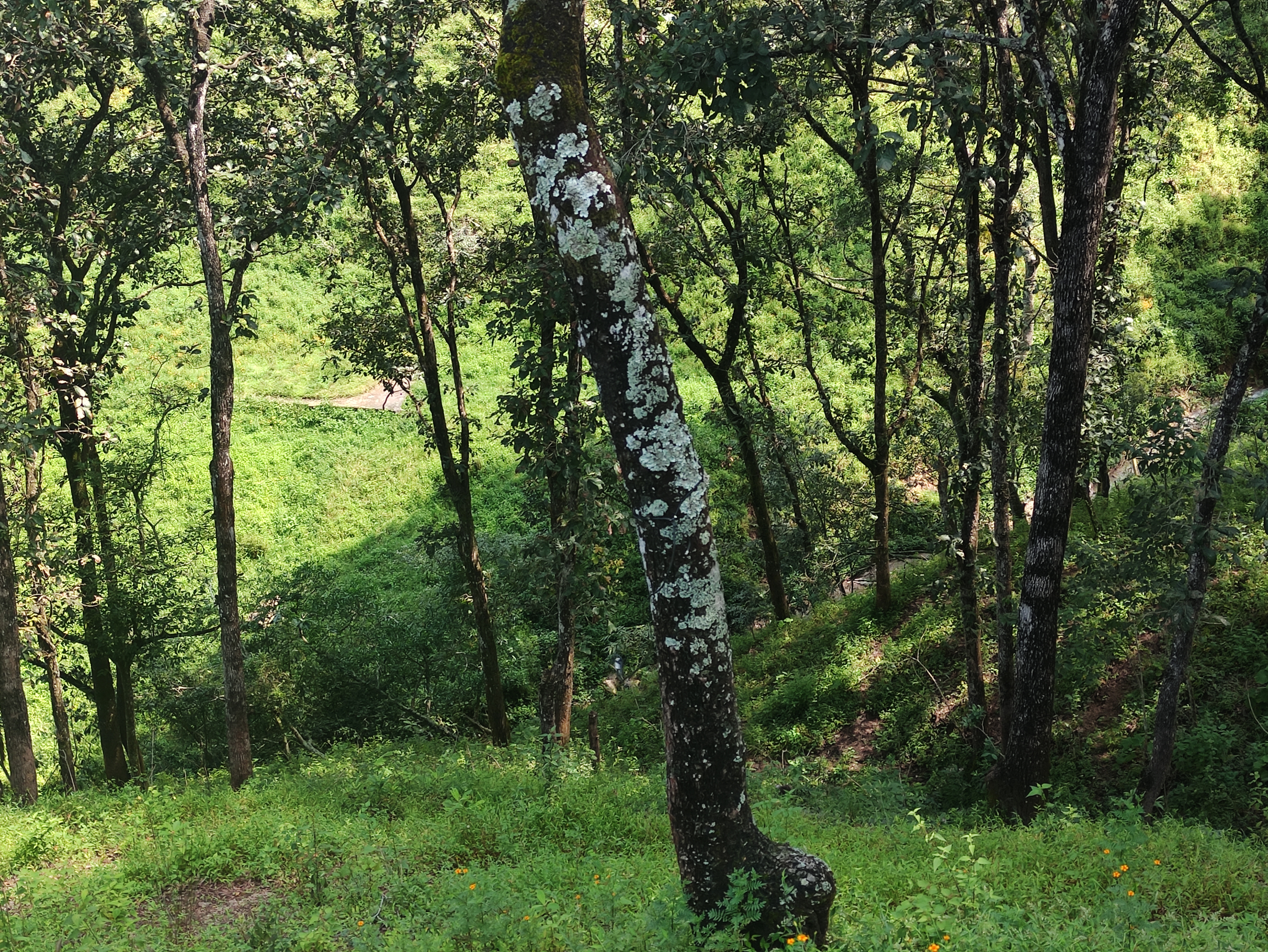 Terreno en Venta en San Pedro Ayampuc