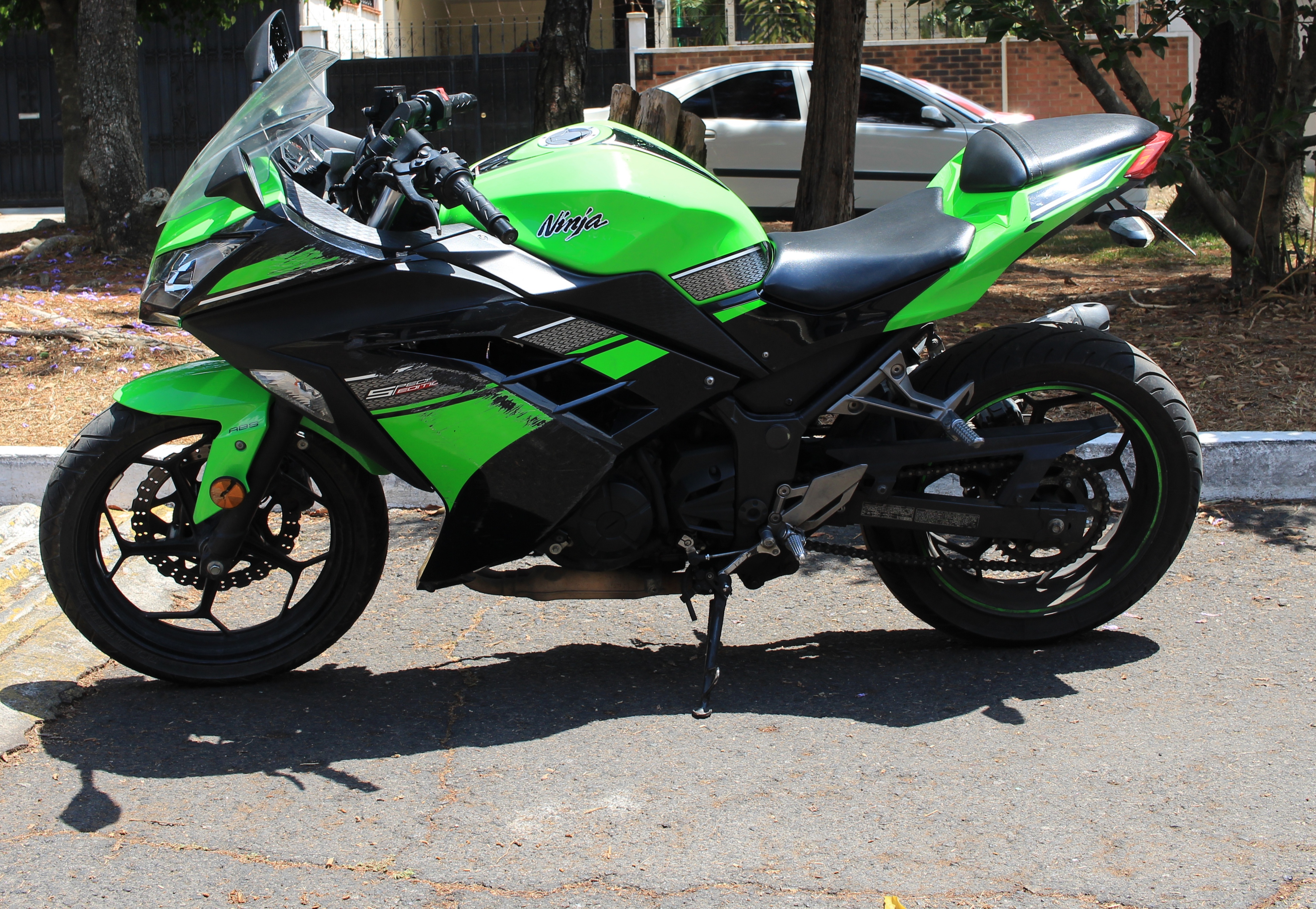 Vendo Kawasaki Ninja 300