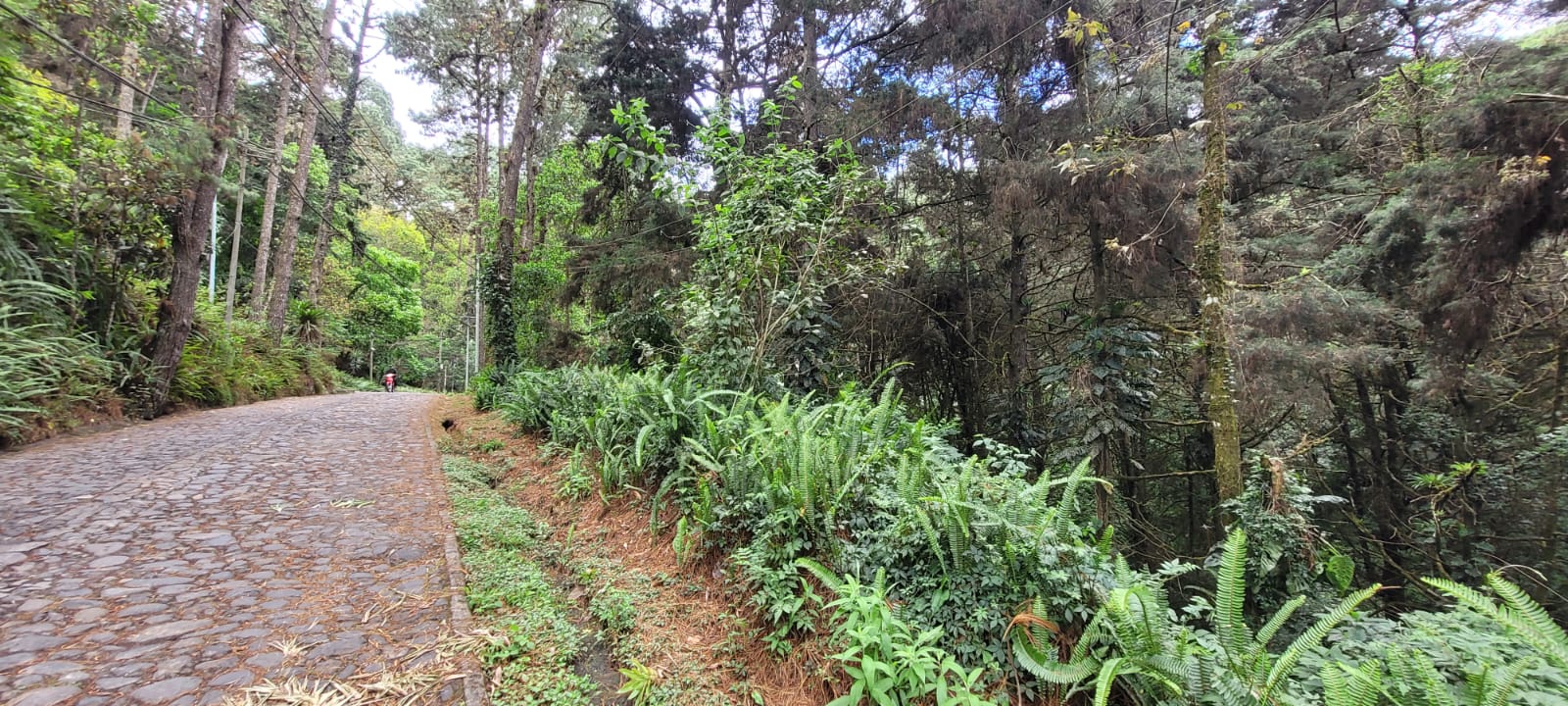 Terreno en venta en Carretera a El Salvador