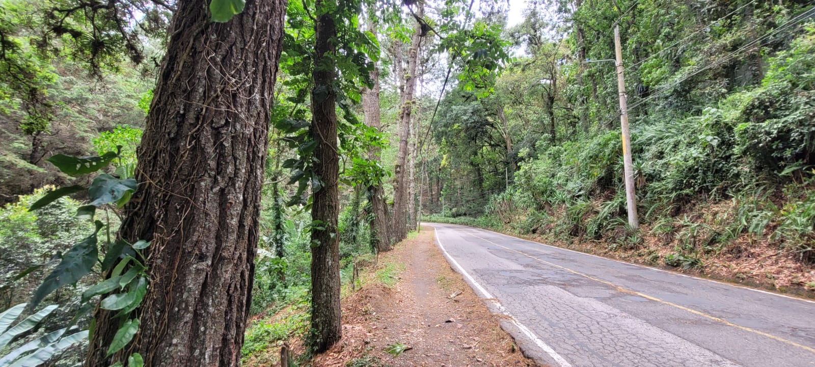 Terreno en venta en Carretera a El Salvador